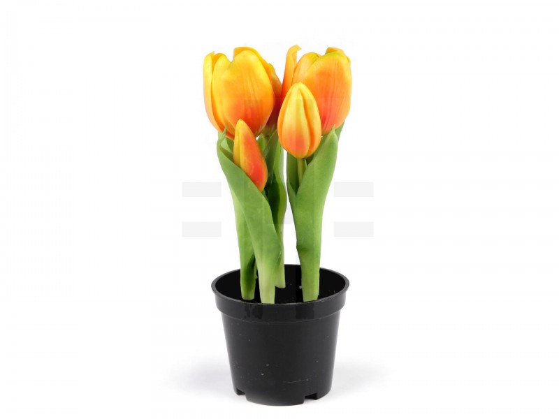           Élethű cserepes tulipán