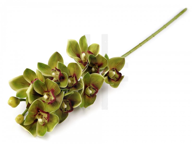 Mű orchidea hosszú Virág, toll, növény Mű orchidea hosszú Virág, toll, növény