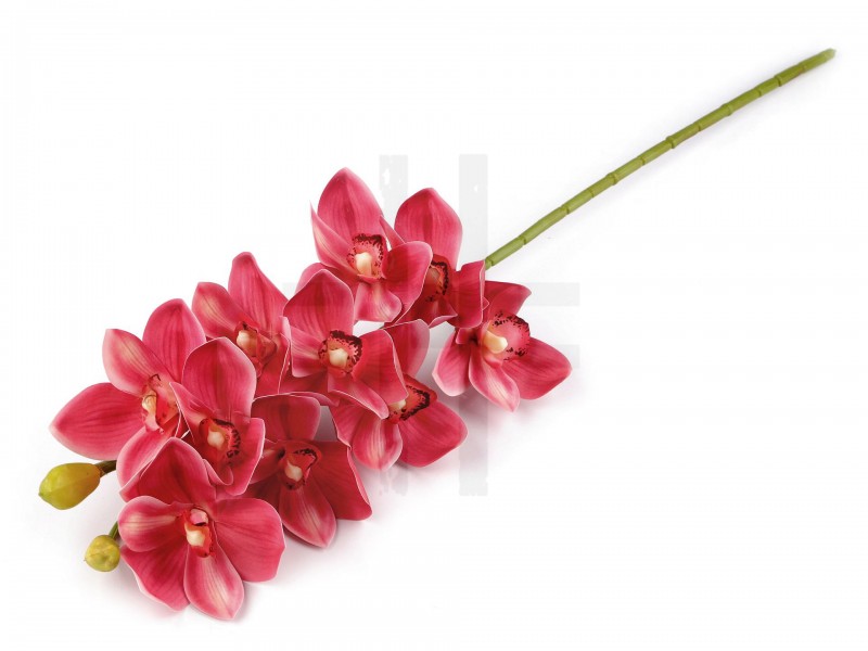 Mű orchidea hosszú Virág, toll, növény Mű orchidea hosszú Virág, toll, növény