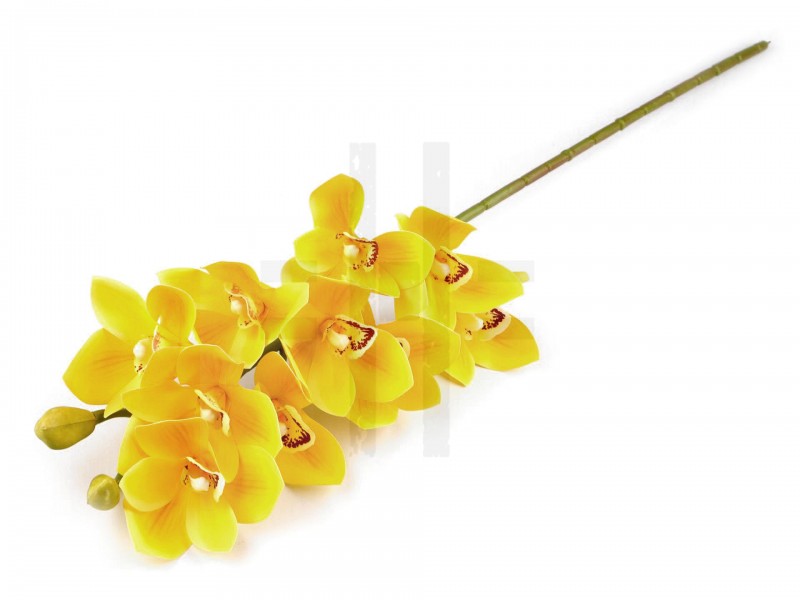 Mű orchidea hosszú Virág, toll, növény Mű orchidea hosszú Virág, toll, növény