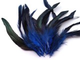 Tyúk toll színezett - 20 db/csomag