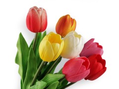                Mesterséges tulipán hosszú 