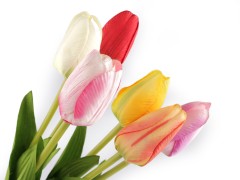                Szálas művirág tulipán hosszú 